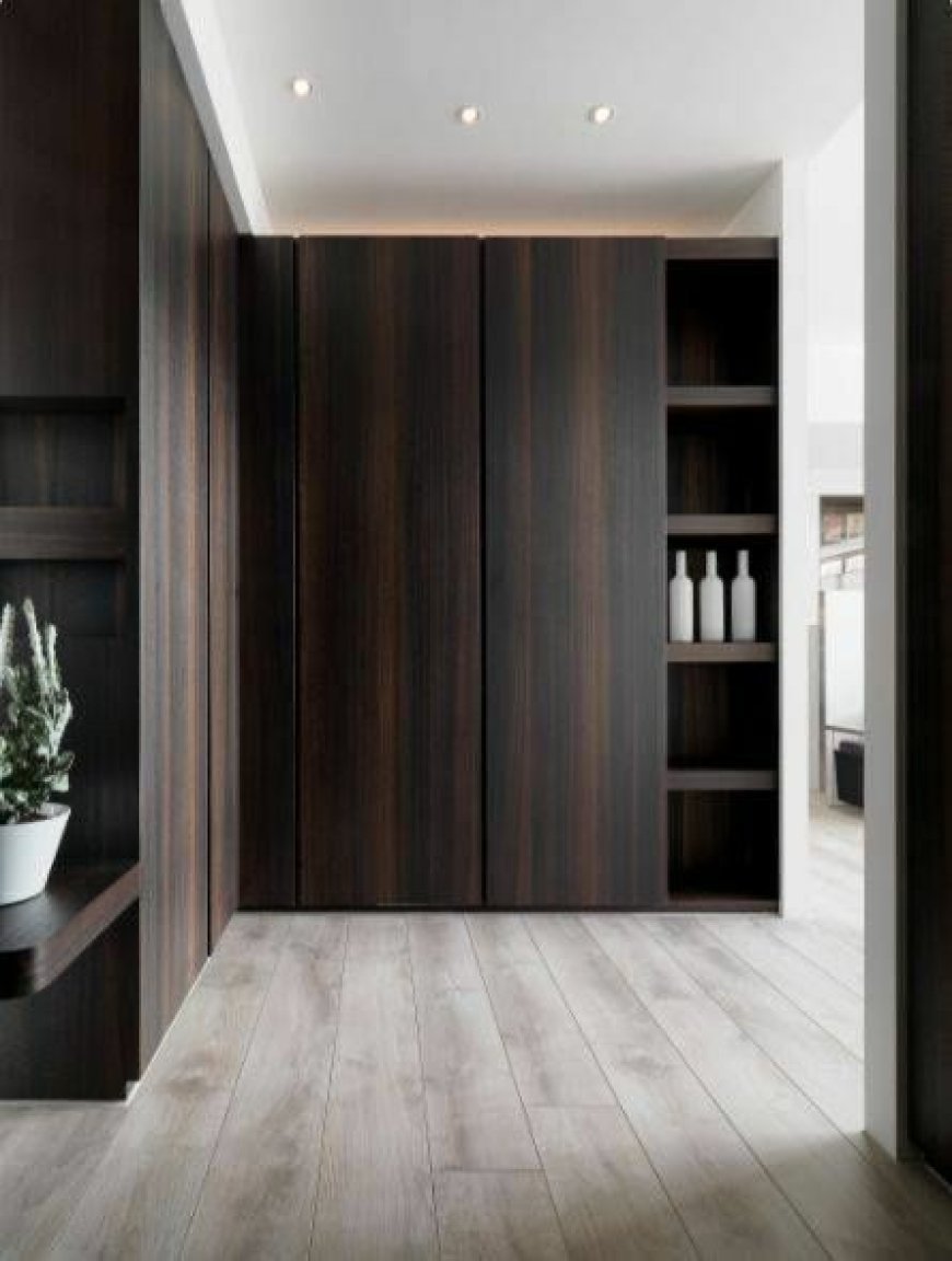 Best Wardrobe Design With Dark Brown Wooden Finish Laminate