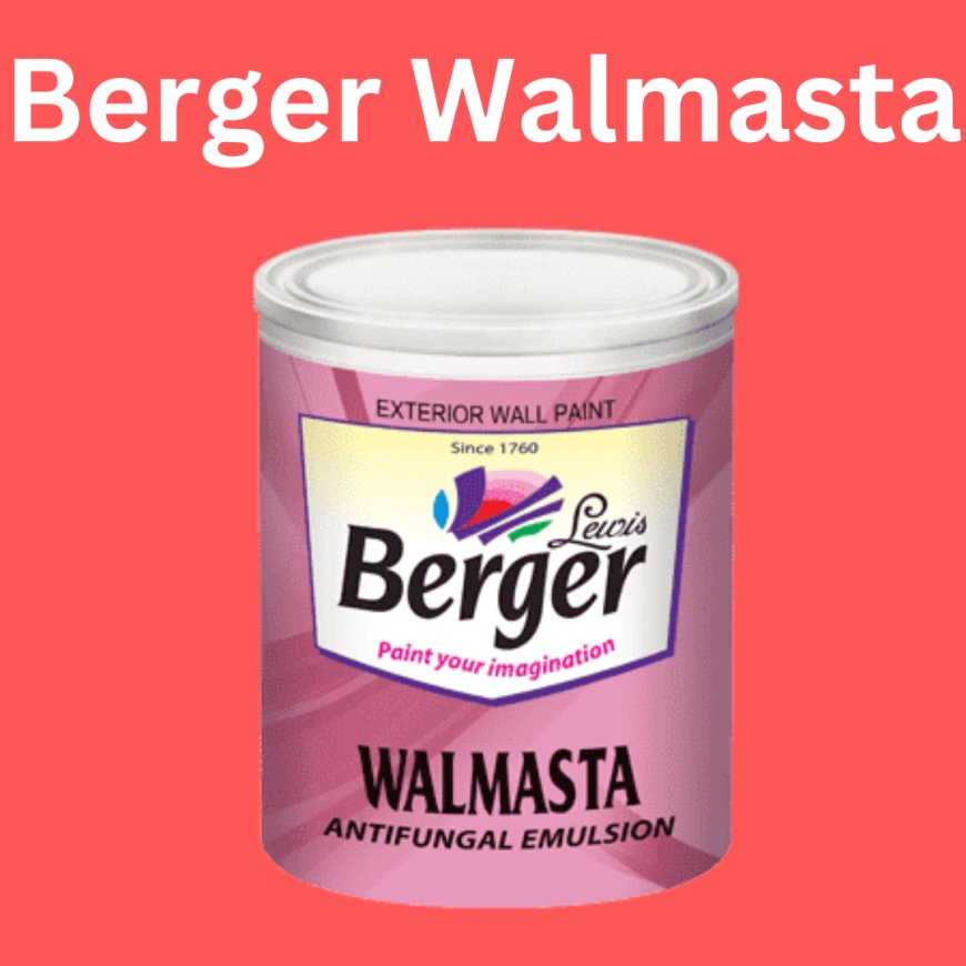 Berger Walmasta Price & Features