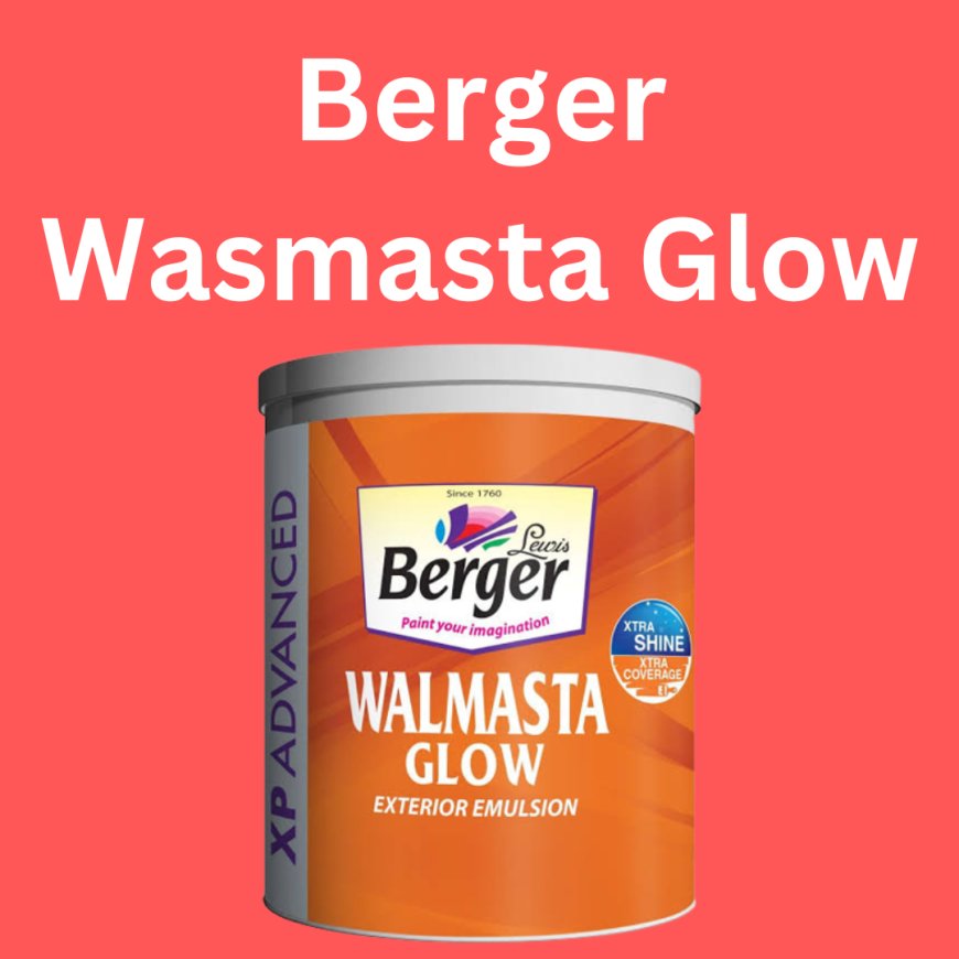 Berger Wasmasta Glow Price & Features