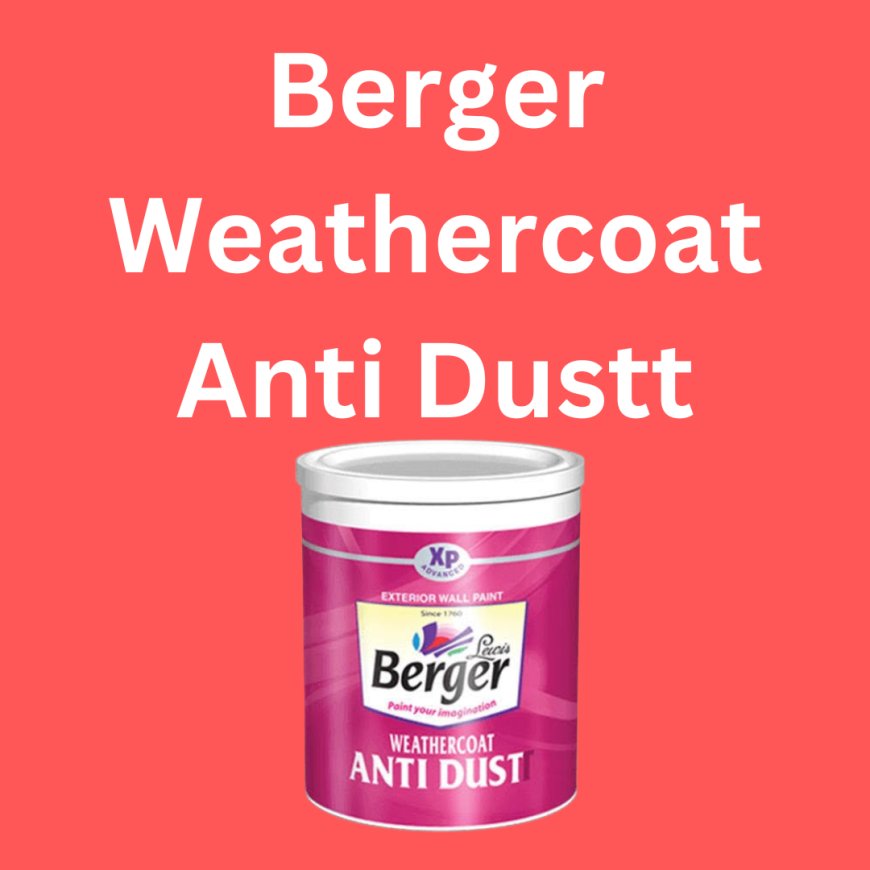 Berger Paints Price Berger Paints Price List 2024 All Berger Paints