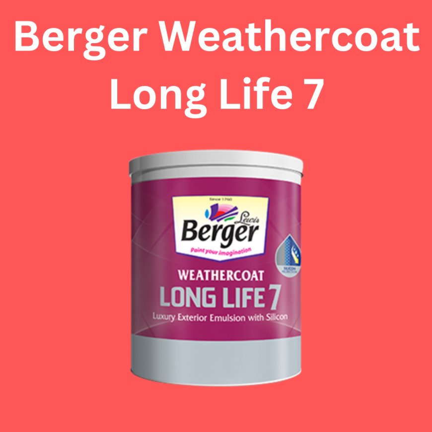 Berger Weathercoat Long Life 7 Price & Features