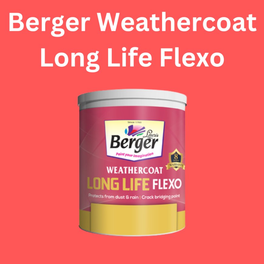 Berger Weathercoat Long Life Flexo Price & Features