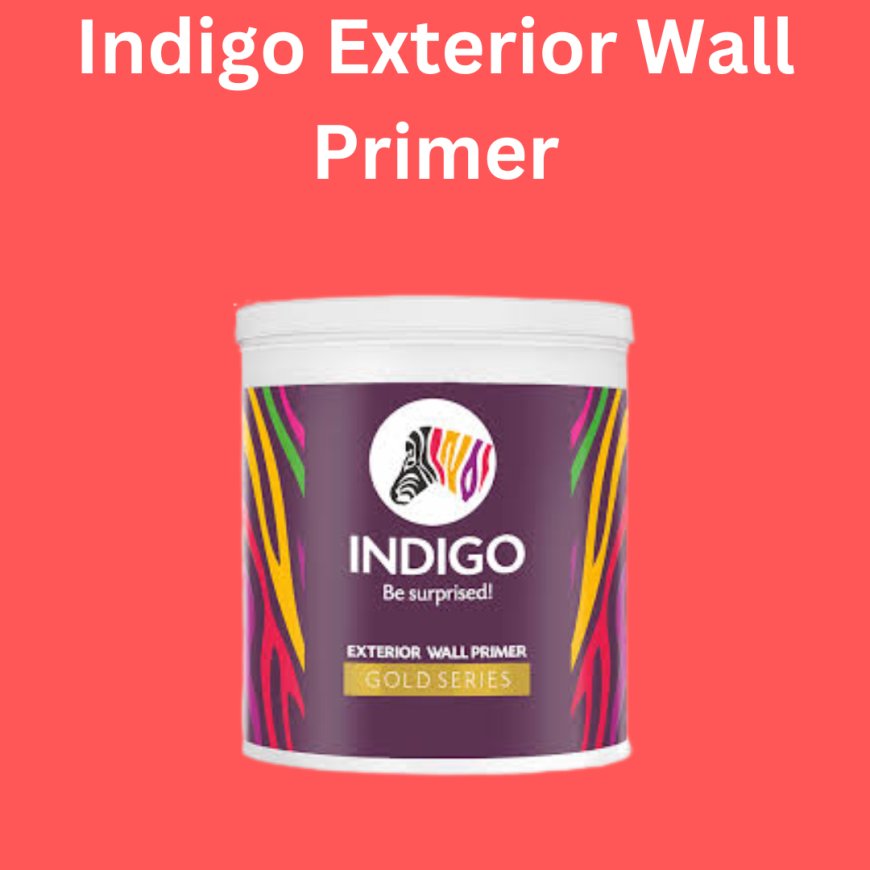 Indigo Exterior Wall Primer Price & Features