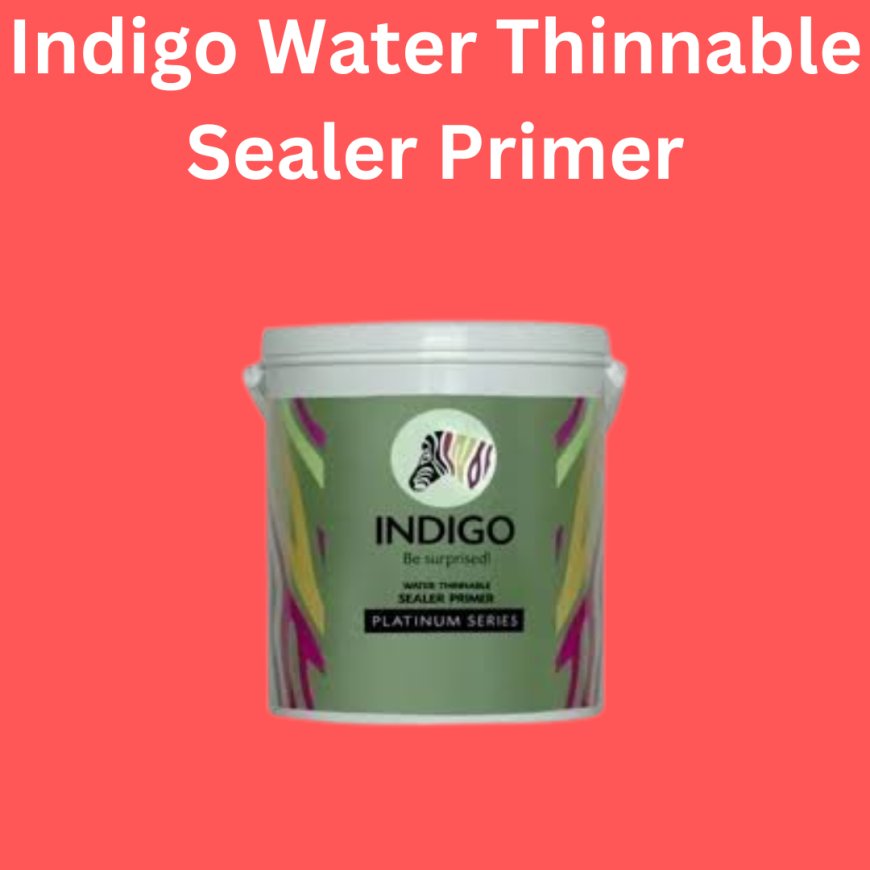 Indigo Water Thinnable Sealer Primer Price & Features