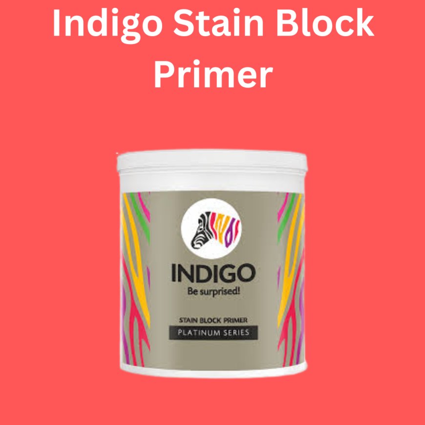 Indigo Stain Block Primer Price & Features