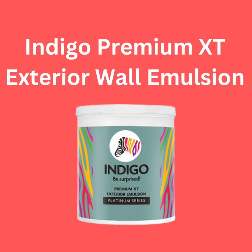 Indigo Premium XT Exterior Wall Emulsion Price & Features